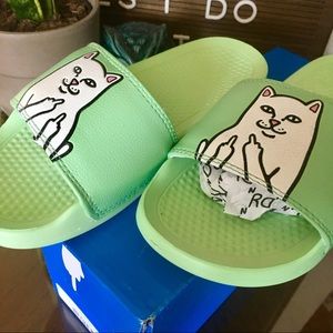 RIPNDIP Slides